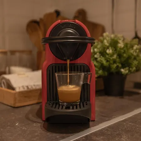 The Cozy Nest - Center Apartman *