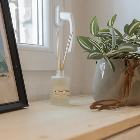 The Cozy Nest In The Center Apartment *